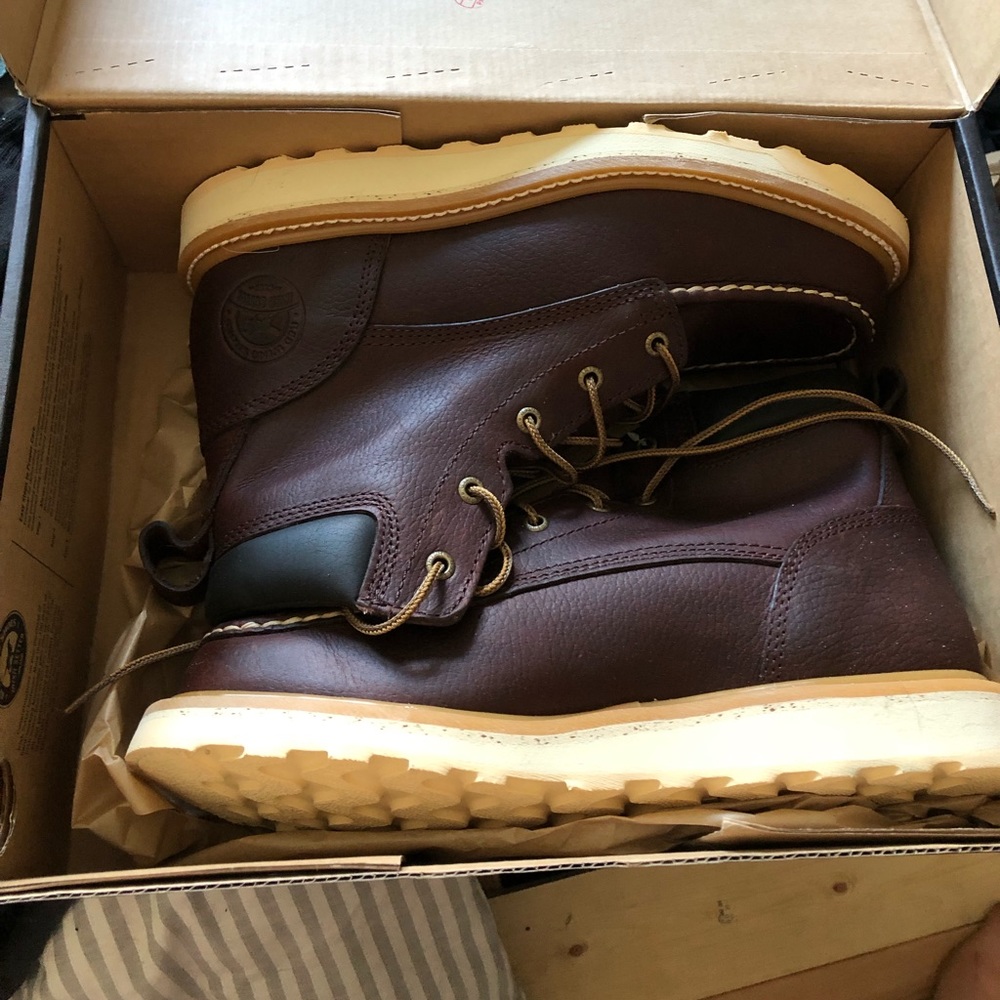 Redwing Irish setters